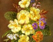 Spring - 塞西尔·肯尼迪